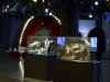 Музей муми-троллей в Тампере